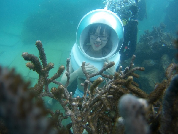 Ngày càng có nhiều bạn trẻ tham gia Tour Đi Bộ Dưới Biển ở Nha Trang